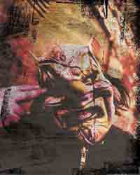 Slipknot, Shawn.